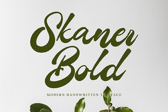 Boost Your Campaign with Skaner Bold Font