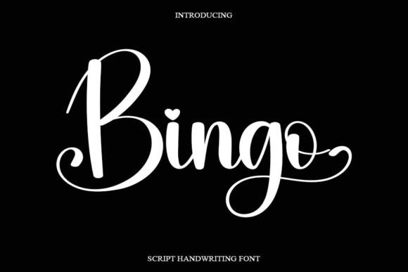 Discover Bingo: A Handwritten Font for Engaging Content