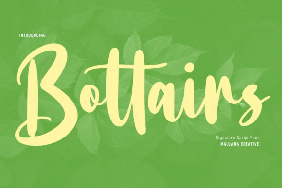 Enhance Your Brand with Bottairs: A Bold Script Font