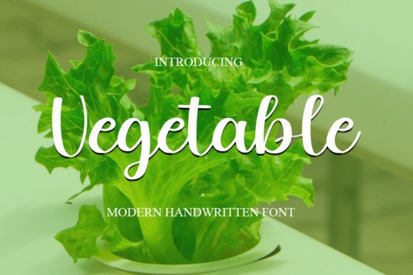 Vegetable: A Modern Handwritten Font for Web Design